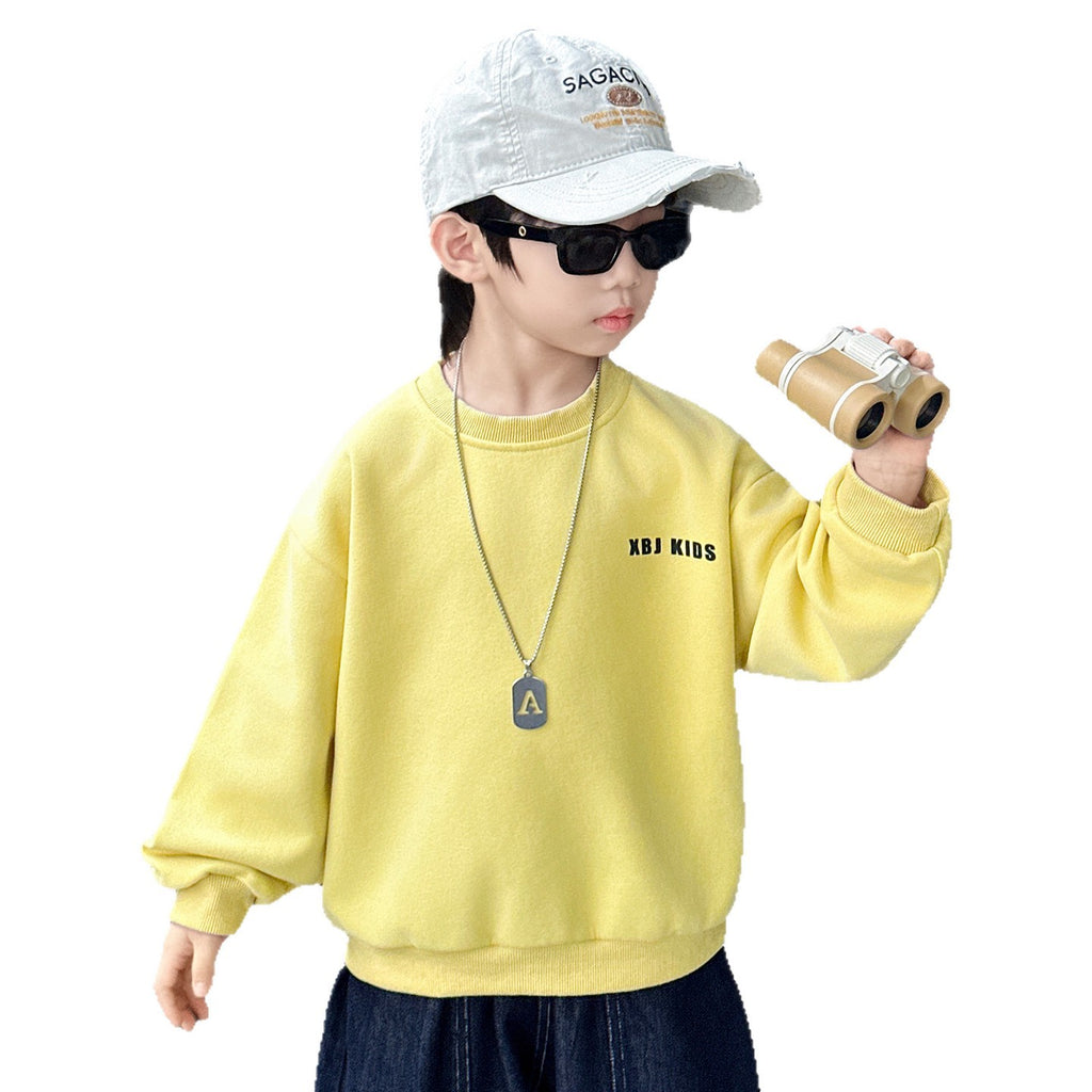 Boys  Casual Long Sleeve Pullover Sweatshirt