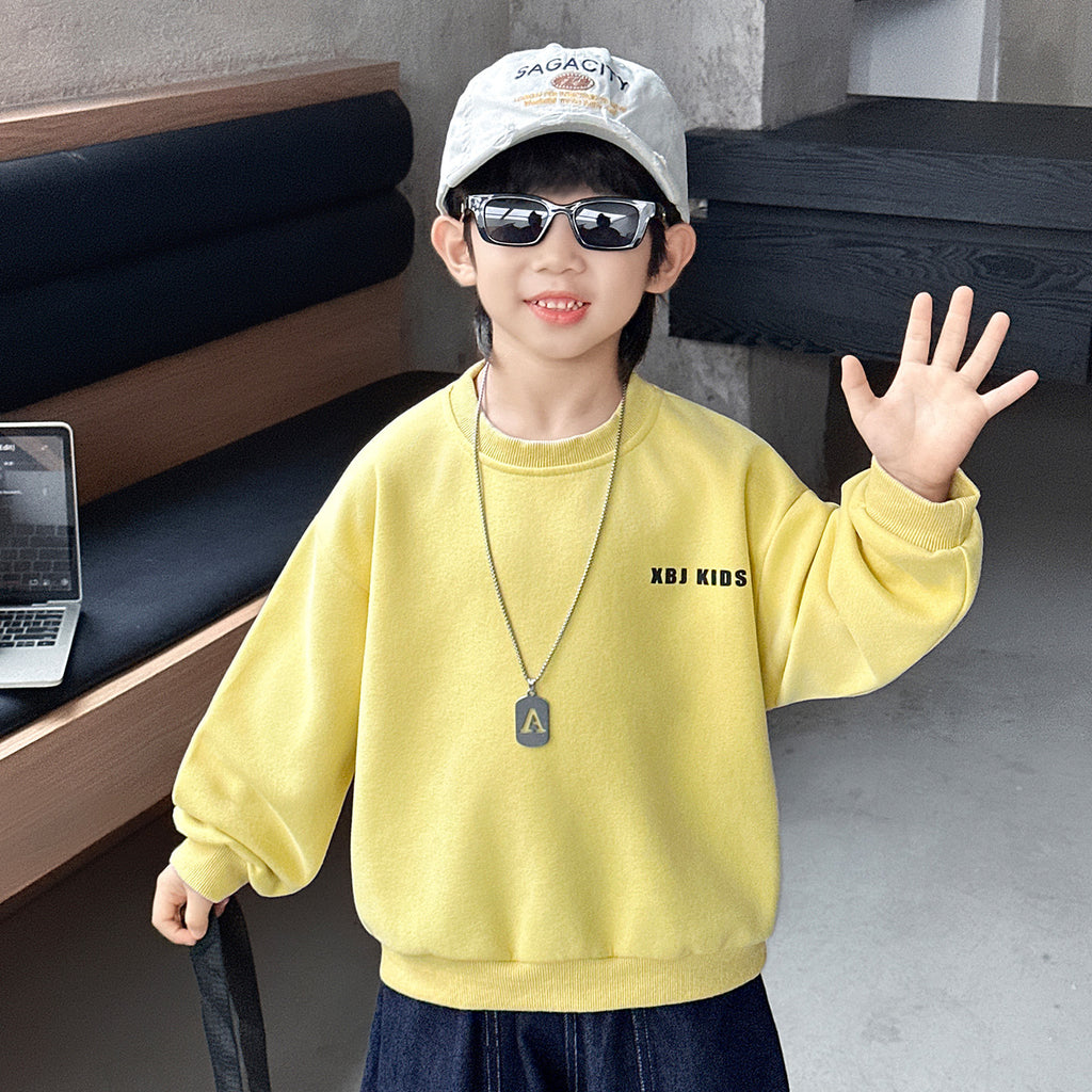 Boys  Casual Long Sleeve Pullover Sweatshirt