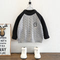 Boys Autumn Winter Long Sleeve Knit Sweater