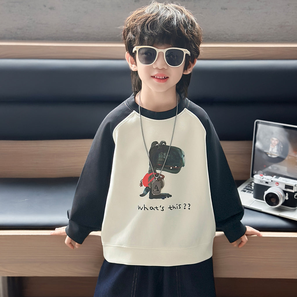 Boys' Dinosaur Print Color Block Pullover Sweatshirt