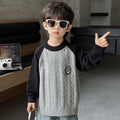 Boys Autumn Winter Long Sleeve Knit Sweater