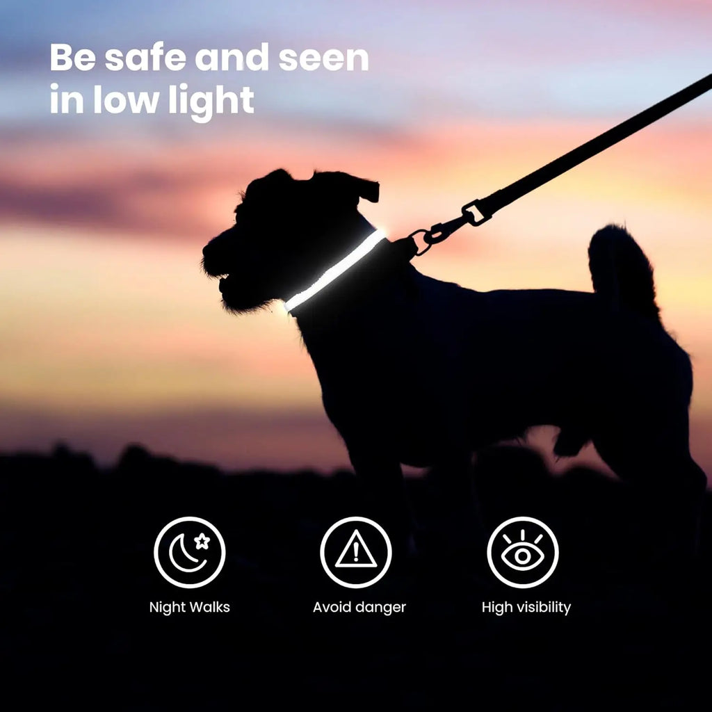 Collier pour chien en nylon avec LED de sécurité clignotante pour la nuit, lumineux dans le noir, laisse pour chien, accessoire fluorescent lumineux pour chien