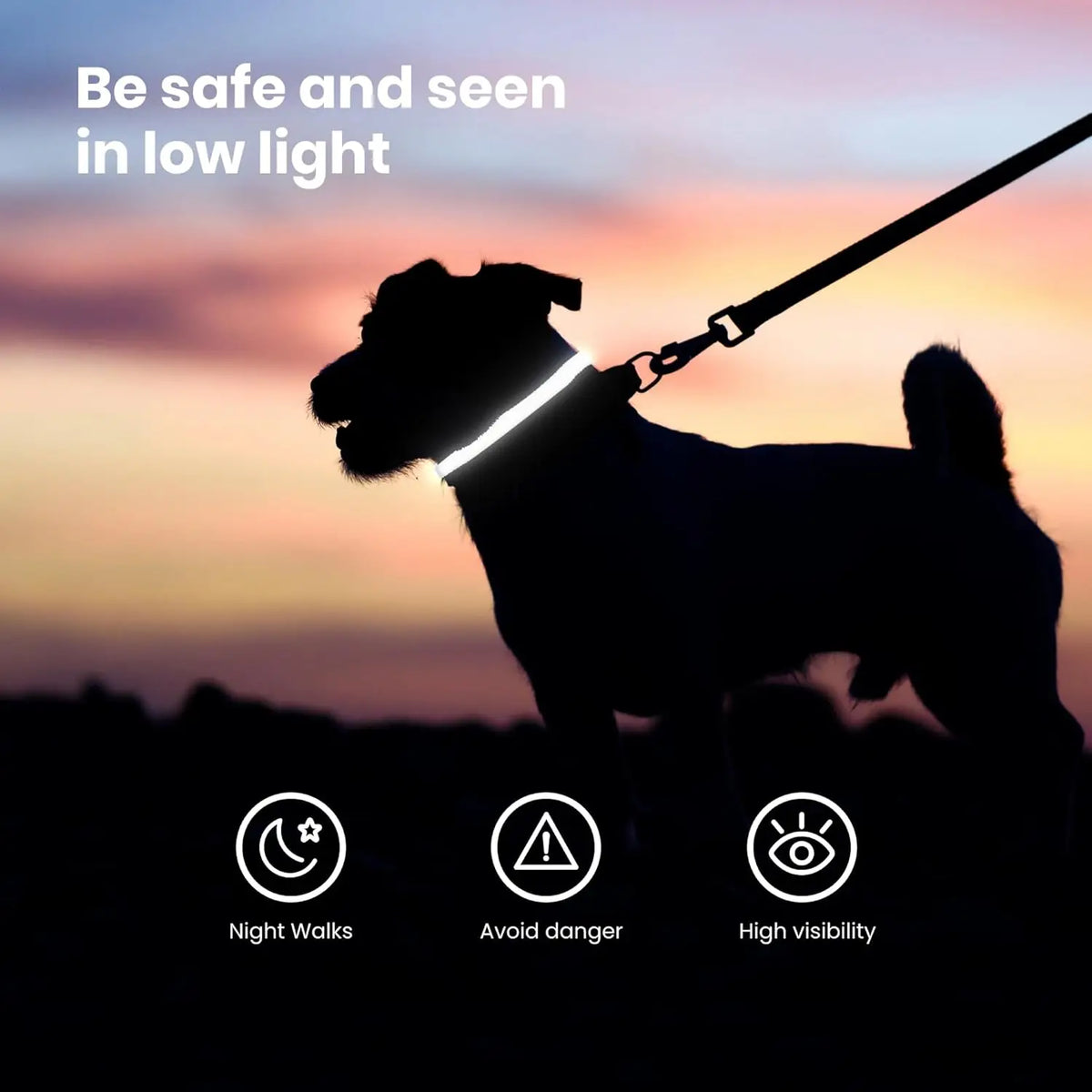 Hundehalsband aus Nylon mit LED-Nachtsicherheitsfunktion, blinkend und im Dunkeln leuchtend, Leine für Hunde, leuchtendes fluoreszierendes Hundezubehör Halsband