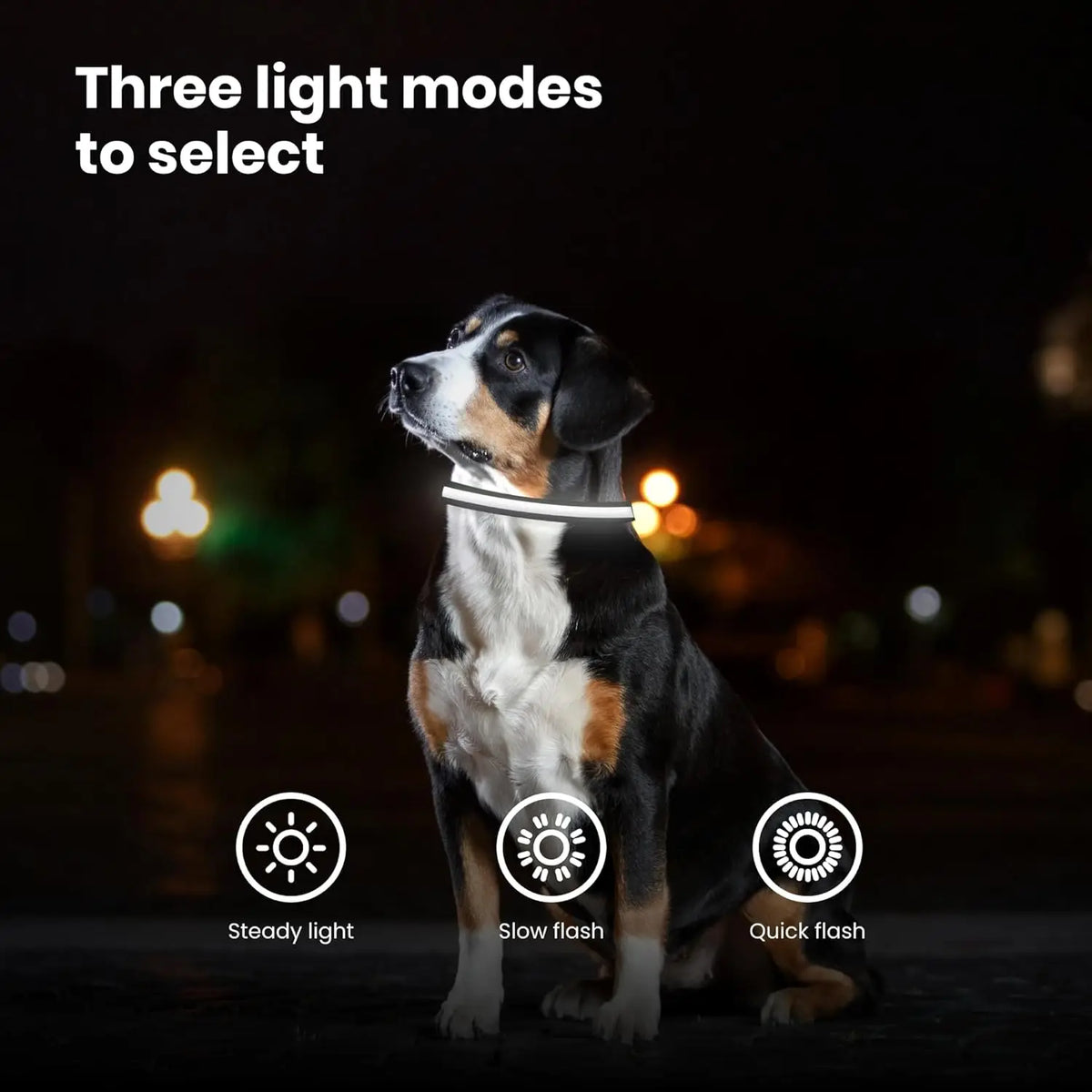 Hundehalsband aus Nylon mit LED-Nachtsicherheitsfunktion, blinkend und im Dunkeln leuchtend, Leine für Hunde, leuchtendes fluoreszierendes Hundezubehör Halsband