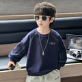 Long Sleeve Crew Neck Boys Sweatshirt