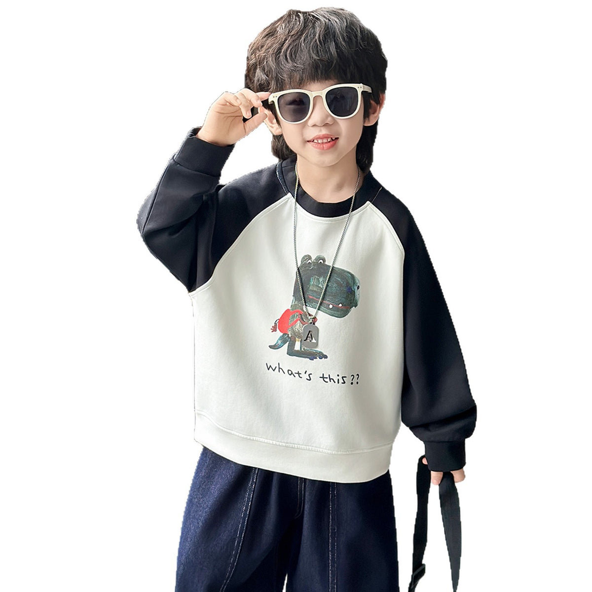 Boys' Dinosaur Print Color Block Pullover Sweatshirt
