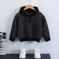 Boys Striped Hooded Thick Knit Sweater