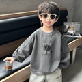 Casual Long Sleeve Hooded Boys Sweatshirt
