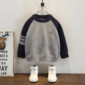 Stylish Raglan Sleeve Round Neck Boys' Knit Sweater