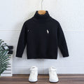 Boys' Turtleneck Sweater Autumn Winter Warm Fleece Lined Knitwear