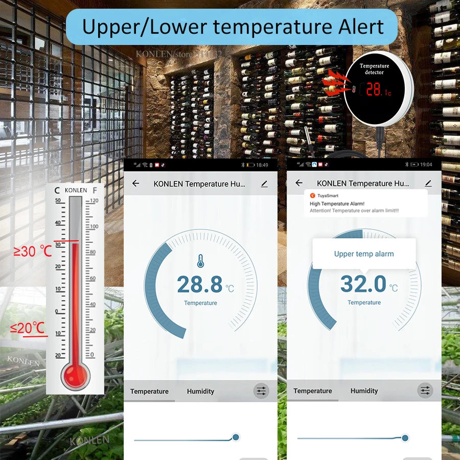 KONLEN Sonde de température Wi-Fi Tuya avec câble de 3 m, thermomètre numérique Smart Life pour maison connectée, thermostat pour piscine et eau avec alarme à distance