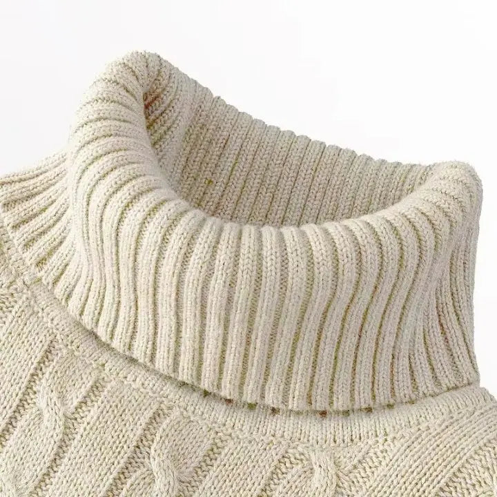 Herren-Rollkragenpullover aus Strick