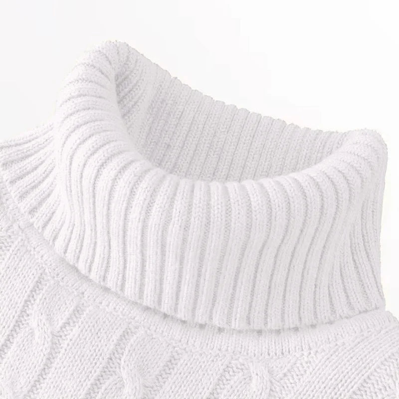 Autumn Winter Men's Sweater Warmth Turtleneck Jacquard Slim Fit Sweaters Solid Color Basic Style Fahion Knitted Pullovers