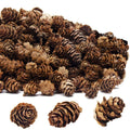 30/60pcs Artificial Plants Pinecone Christmas Tree Fillers Outdoor Wedding Garden Home Table Vase Scrapbook Wall DIY Decorations