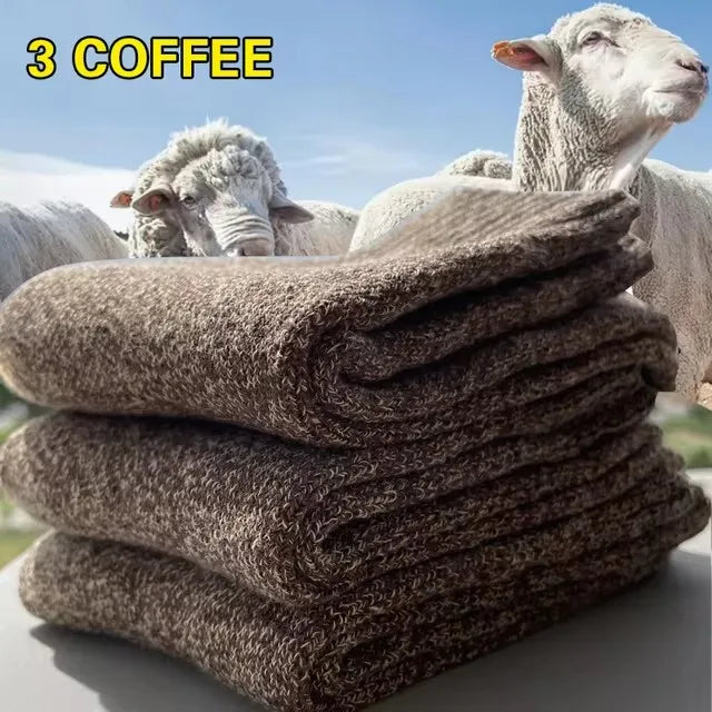 3 Pairs of Thick, Warm Winter Socks for Men, Towel-Textured Sole, Wool Slipper Socks, Merino Wool Socks for Cold and Snow, Sizes 39–44