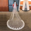 Hot Sale Elegant Flower Lace Edged Appliques Veil with Comb 1 Tier Veil 3mx1.5m Long Cathedral Length Wedding Bride Accessories