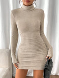 Women's turtleneck long-sleeve mini dress