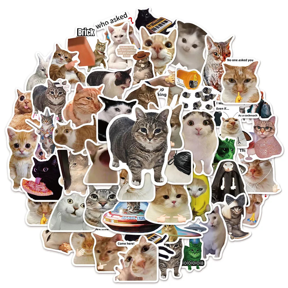 Lot de 50/100 autocollants créatifs et populaires sur le thème des chats mèmes, pour carnet, DIY, graffiti, gourde et skateboard