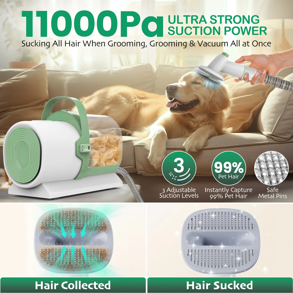 Kits de toilettage pour animaux, brosse anti-poils de chat, peigne, coupe-griffes et lime pour chiens, accessoires de nettoyage et de toilettage pour animaux de compagnie
