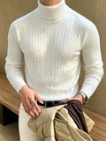 Men's Sweater Solid Color Slim Fit Turtleneck Long Sleeve Fashion Jacquard Pullover Male Clean Fit Streetwear Autumn Knitwear