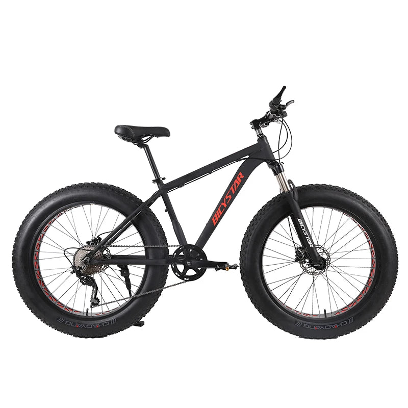 Fat Bike Canada / Fat Bike Beach Cruiser 28" / Fat Bike 4.9