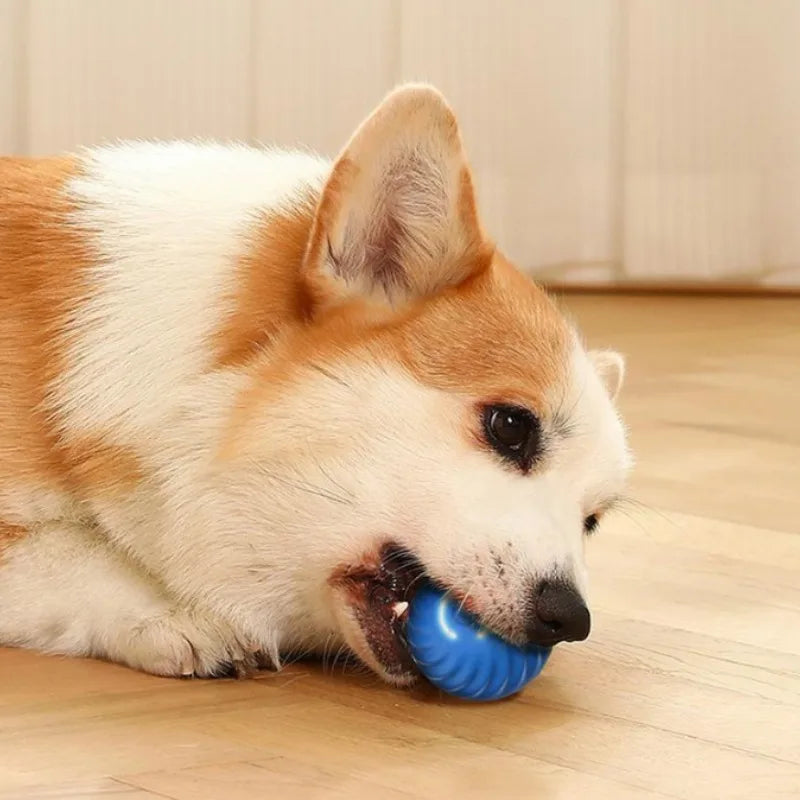 Pelota de juguete para mascotas Pelota de juguete para perros con movimiento automático Pelota de juguete inteligente USB saltar girar juguete interactivo para morder para perros pelota de juguete para cachorros