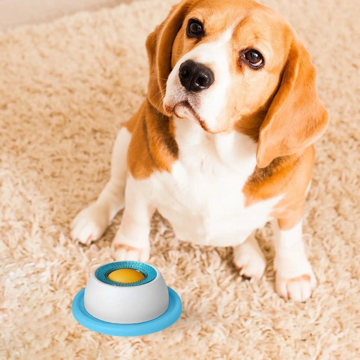 Accesorios de alimentación para mascotas Juguete dispensador de premios para perros Juguetes tipo rompecabezas para cachorros aburridos Comedero lento para cachorros Suministros para cachorros para una alimentación saludable Comedero para jaula