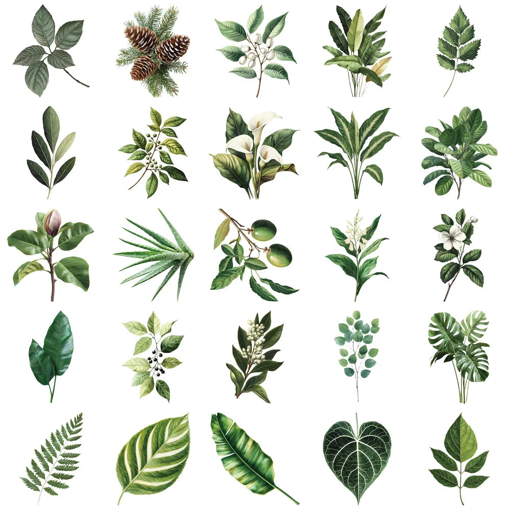 50pcs green plant leaf stickers, suitable for decorating computers, refrigerators, storage boxes, waterproof PET stickers