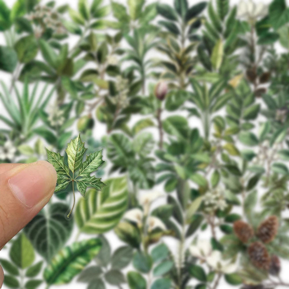 50 green plant leaf stickers, suitable for decorating computers, refrigerators, and storage boxes; waterproof PET stickers
