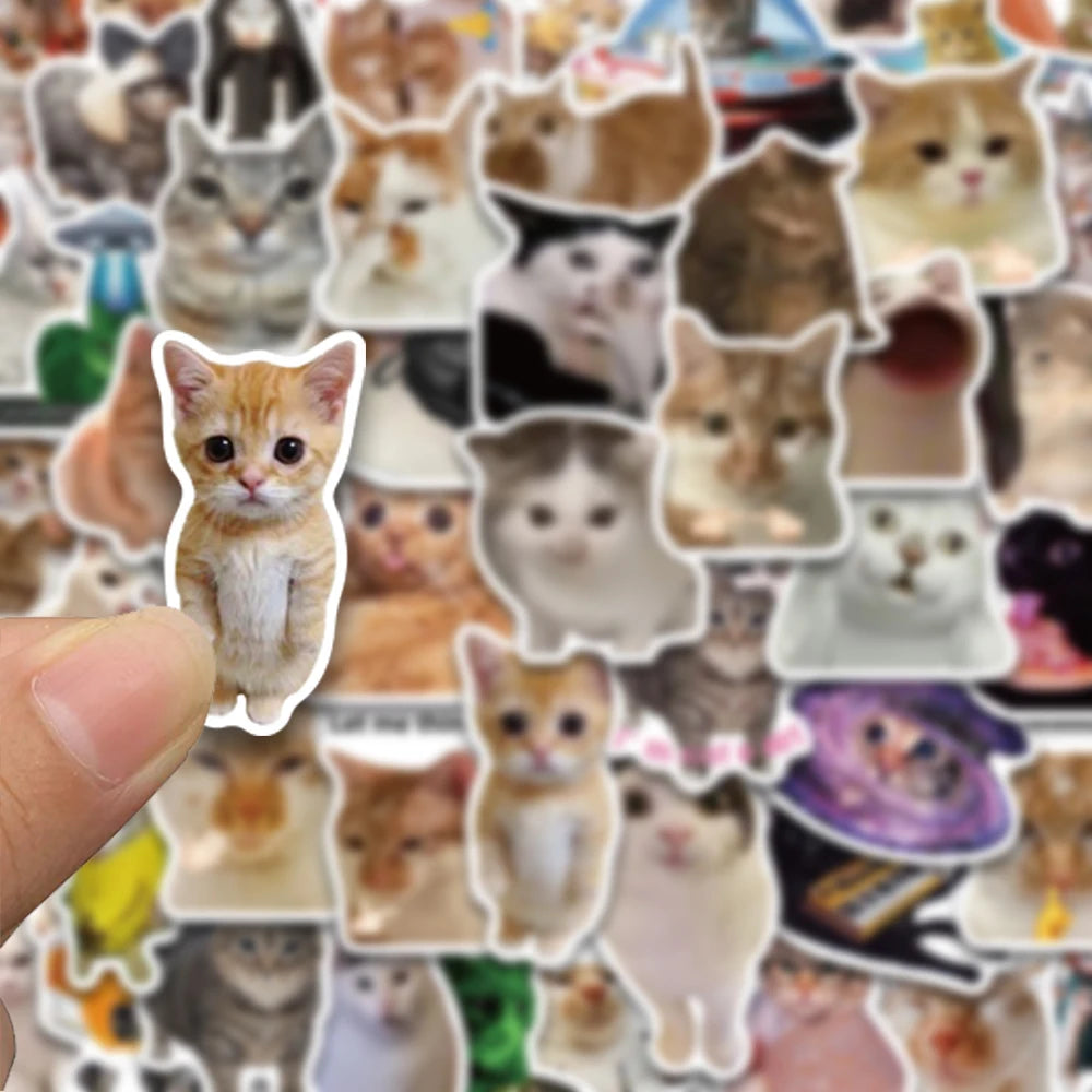 50pcs cute & funny cat series stickers, suitable for decorating mobile phones, storage boxes, notebooks, waterproof stickers