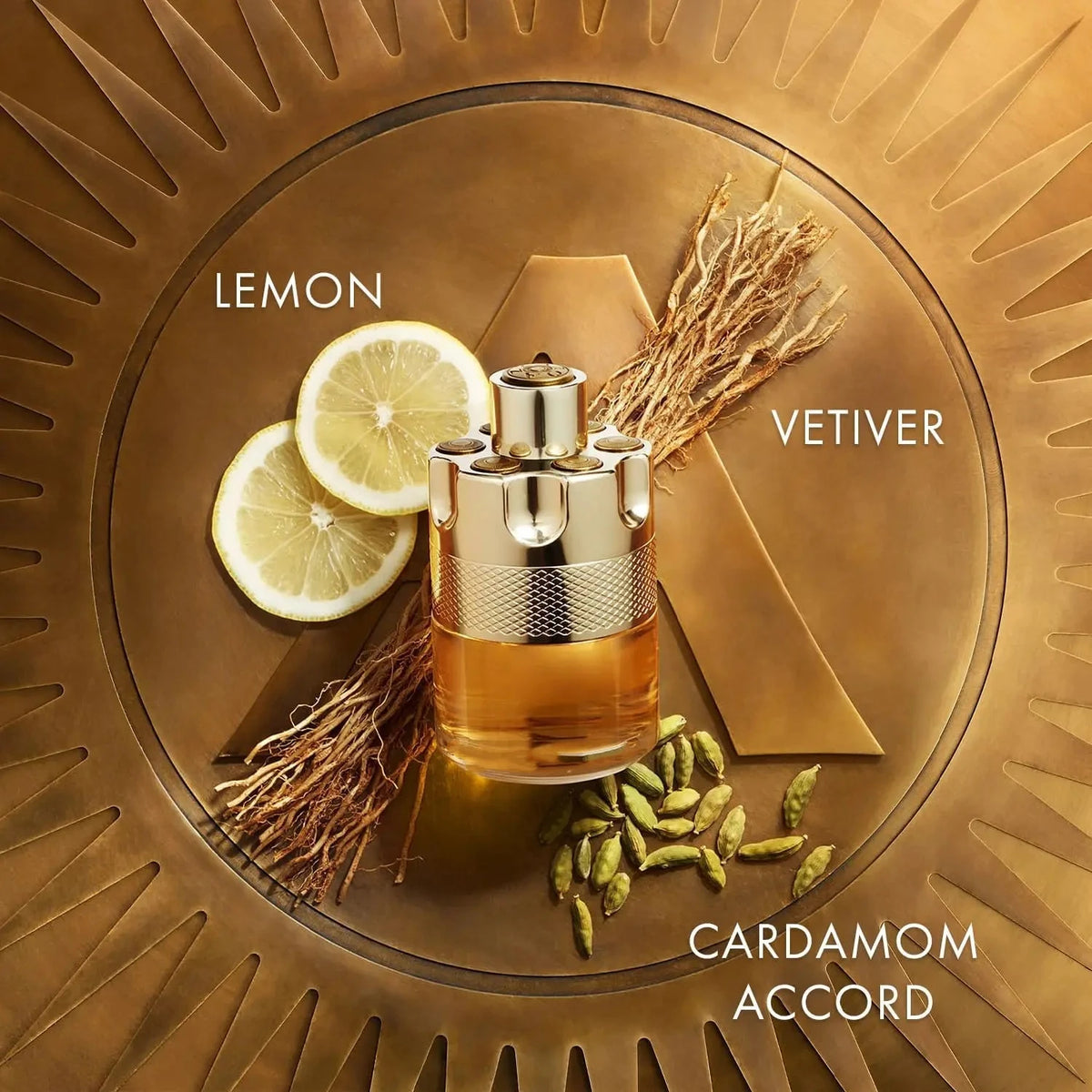Azzaro Wanted Eau de Toilette – Eau de Cologne pour homme vibrante et irrésistible – notes boisées et vétiver – à porter au quotidien – parfums de luxe pour homme