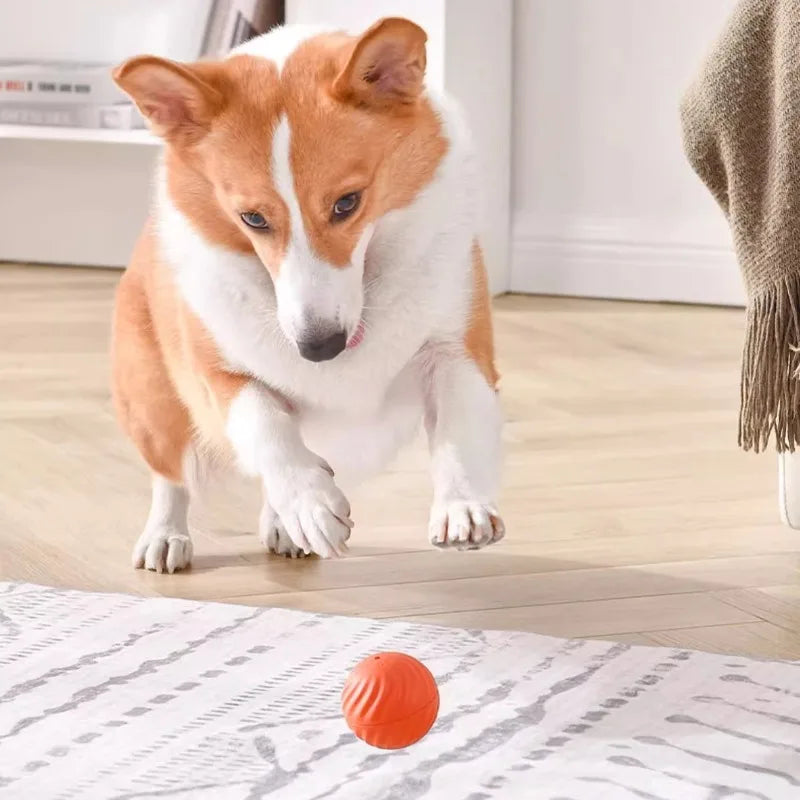 Pelota de juguete para mascotas Pelota de juguete para perros con movimiento automático Pelota de juguete inteligente USB saltar girar juguete interactivo para morder para perros pelota de juguete para cachorros