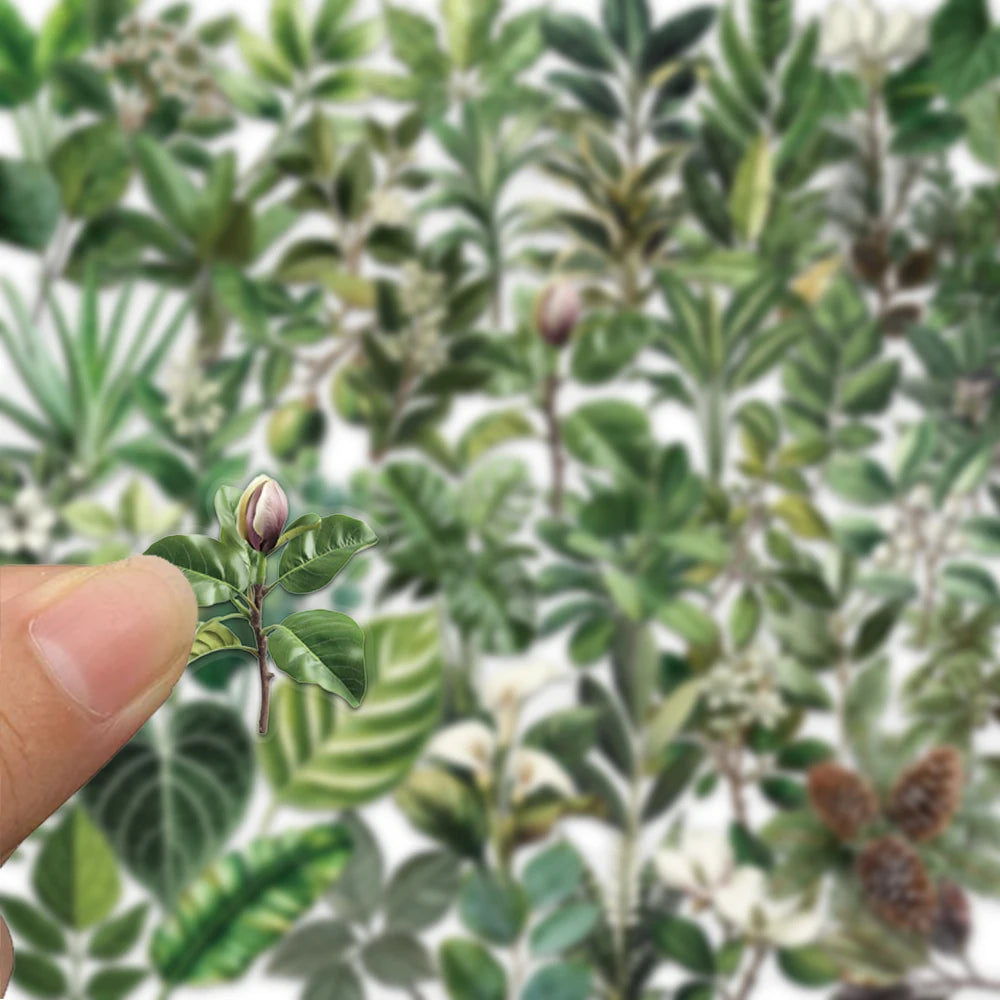 50pcs green plant leaf stickers, suitable for decorating computers, refrigerators, storage boxes, waterproof PET stickers