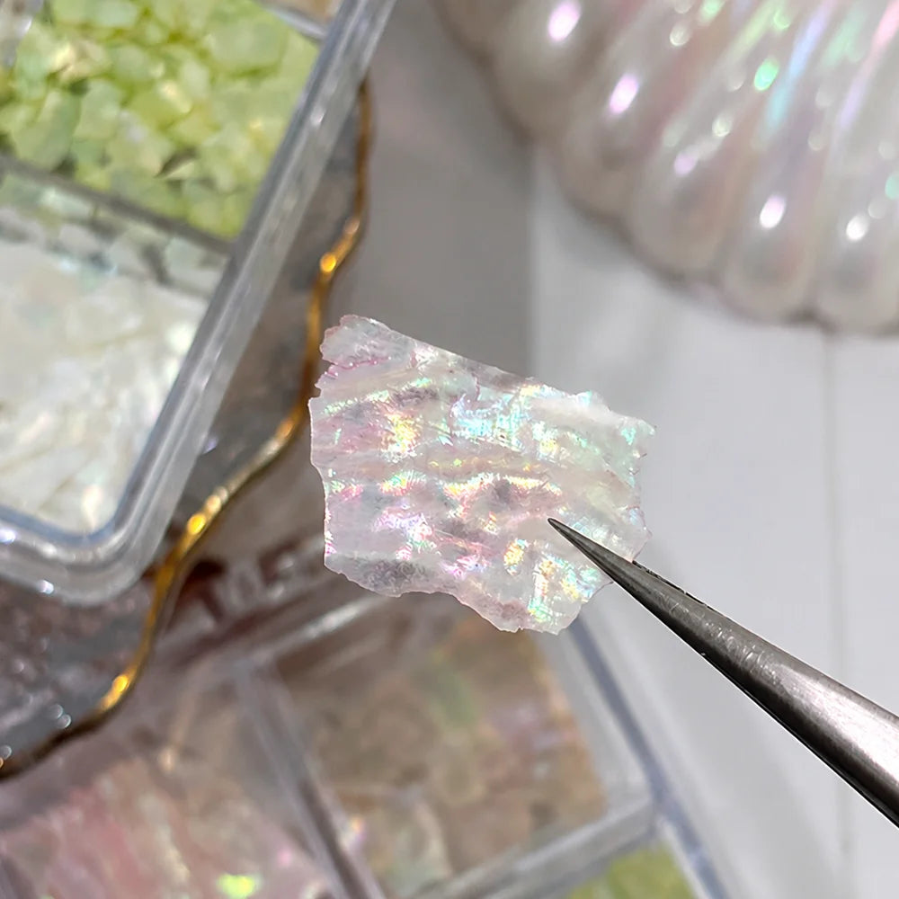 1 Box 3D irisierende Abalone-Muschel-Nagelanhänger, unregelmäßige Aurora-Muschelscheiben, Nagelkunst-Dekorationen, Sommer-Maniküre-Zubehör