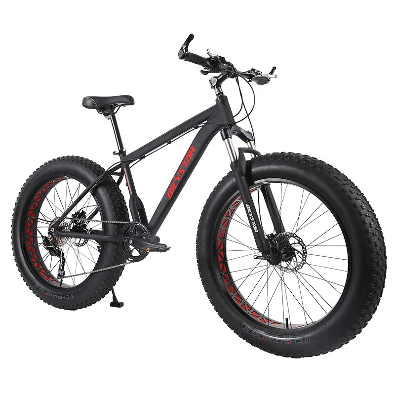 Fat Bike Canada / Fat Bike Beach Cruiser 28" / Fat Bike 4.9