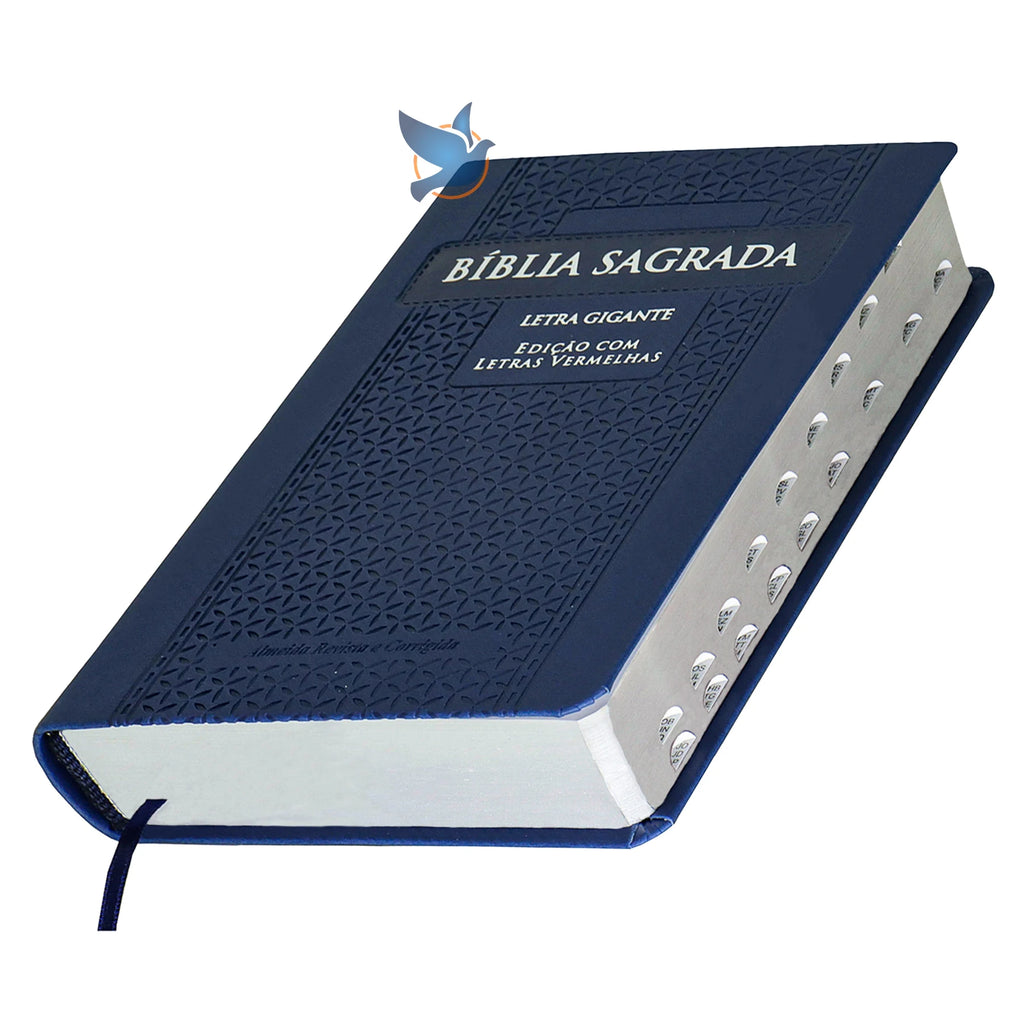 Holy Bible Giant Print ARC Side-Indexed Medium Zipper
