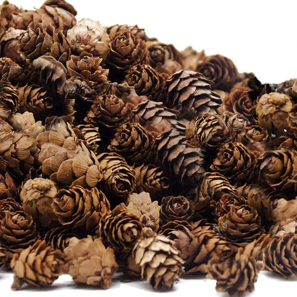 30/60pcs Artificial Plants Pinecone Christmas Tree Fillers Outdoor Wedding Garden Home Table Vase Scrapbook Wall DIY Decorations