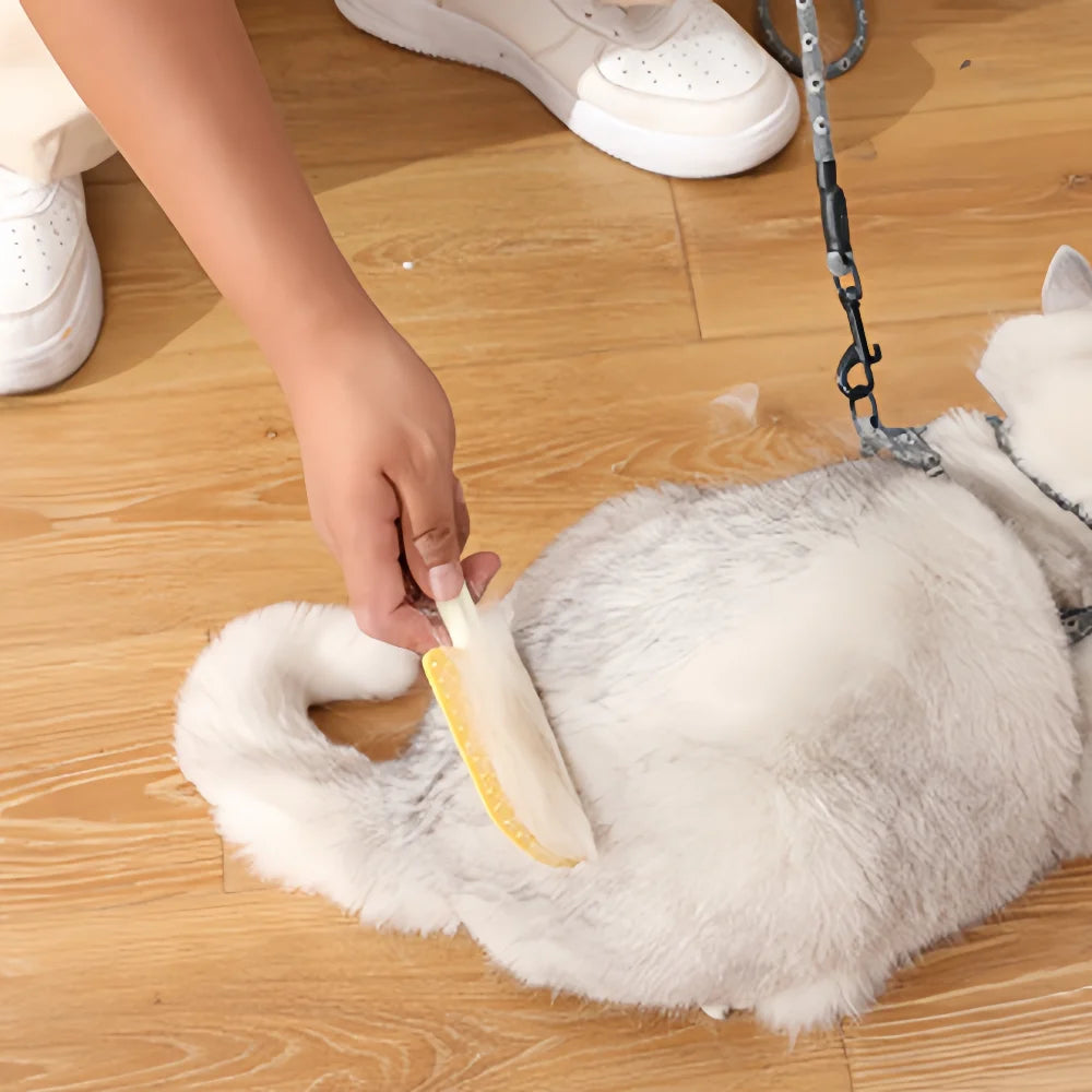 Brosse de toilettage double face pour animaux : un côté démêlant et anti-perte de poils, l'autre côté à picots souples pour un massage en douceur - pour animaux de compagnie