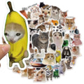 Lot de 50/100 autocollants créatifs et populaires sur le thème des chats mèmes, pour carnet, DIY, graffiti, gourde et skateboard
