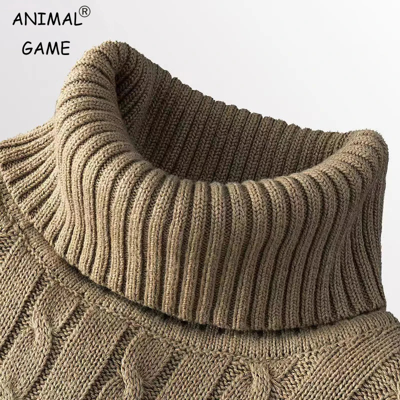 Herren-Rollkragenpullover aus Strick