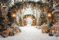 Photography Background Winter Christmas Forest Glitter Arch Door Xmas Kids Family Portrait Decor Backdrop Photo Studio