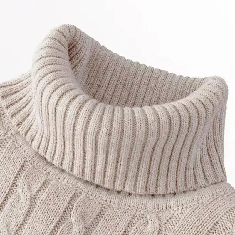 Autumn Winter Men's Sweater Warmth Turtleneck Jacquard Slim Fit Sweaters Solid Color Basic Style Fahion Knitted Pullovers