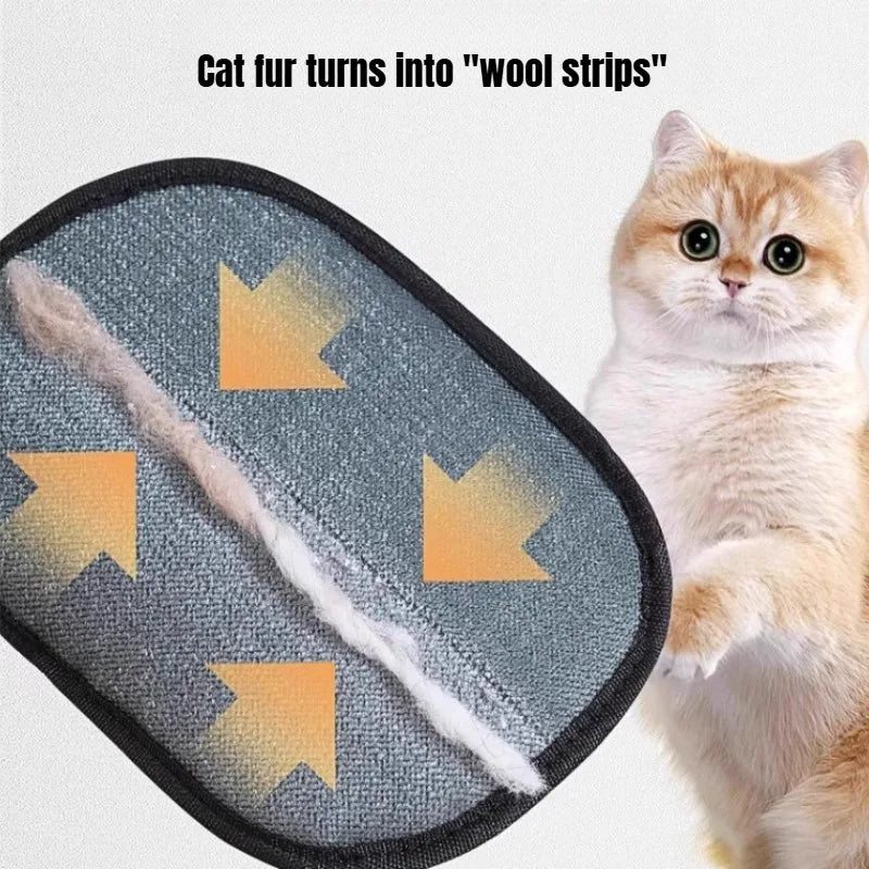 Gants de toilettage pour animaux, brosse antistatique pour enlever les poils d’animaux, outil pour retirer les poils de chien et de chat du canapé, du tapis et des vêtements