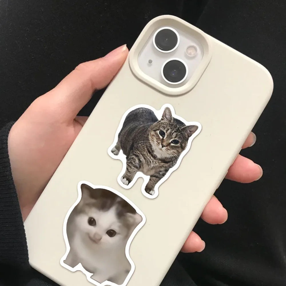 Lot de 50/100 autocollants créatifs et populaires sur le thème des chats mèmes, pour carnet, DIY, graffiti, gourde et skateboard