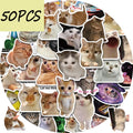 50pcs cute & funny cat series stickers, suitable for decorating mobile phones, storage boxes, notebooks, waterproof stickers