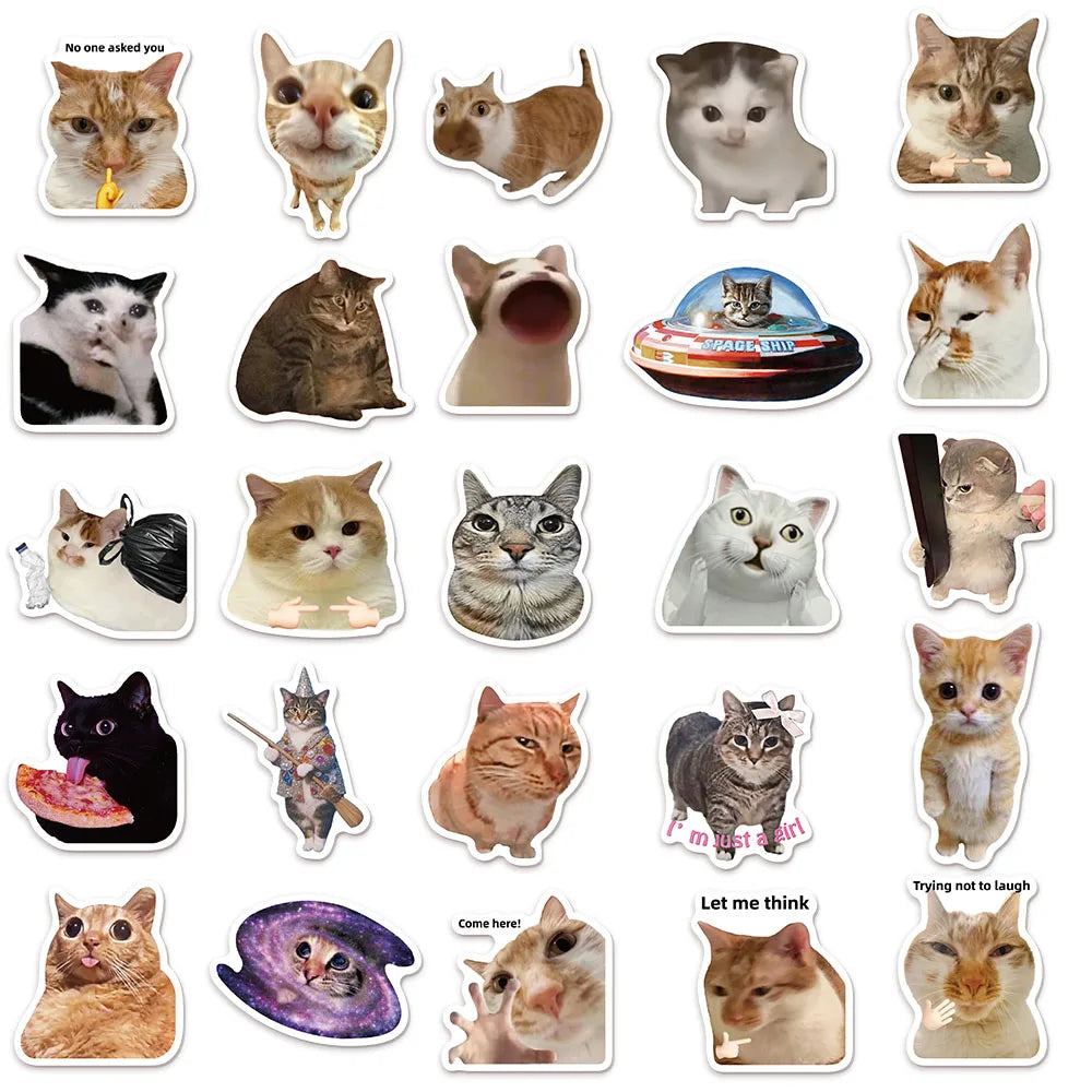 Lot de 50/100 autocollants créatifs et populaires sur le thème des chats mèmes, pour carnet, DIY, graffiti, gourde et skateboard