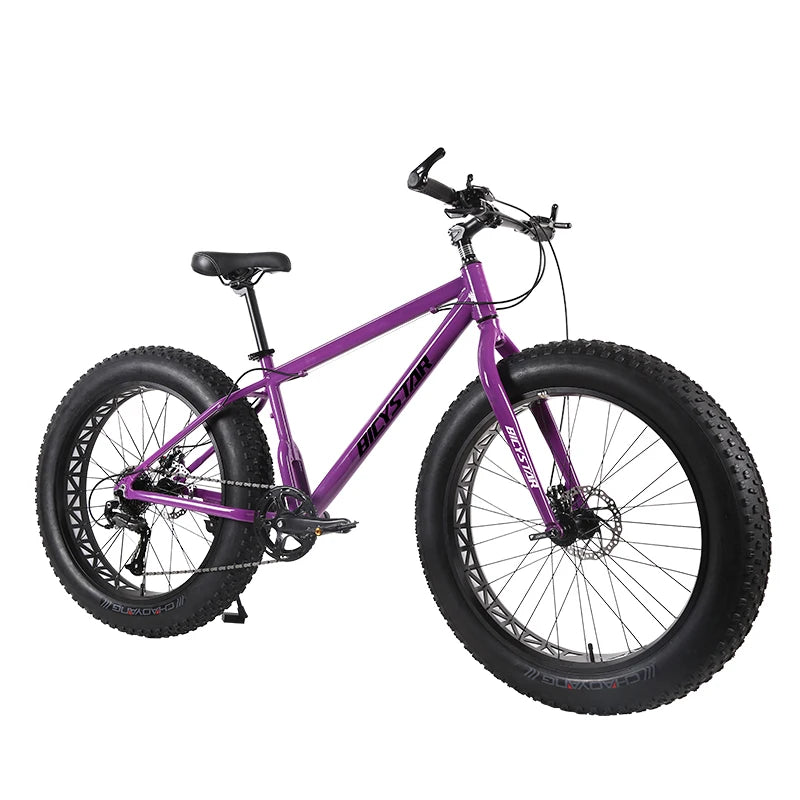 Fat Bike Canada / Fat Bike Beach Cruiser 28" / Fat Bike 4.9