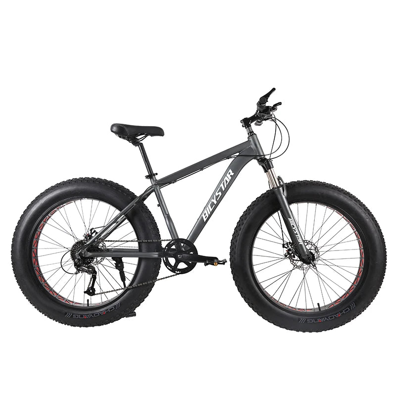 Fat Bike Canada / Fat Bike Beach Cruiser 28" / Fat Bike 4.9