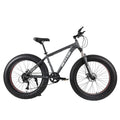 Fat Bike Canada / Fat Bike Beach Cruiser 28" / Fat Bike 4.9