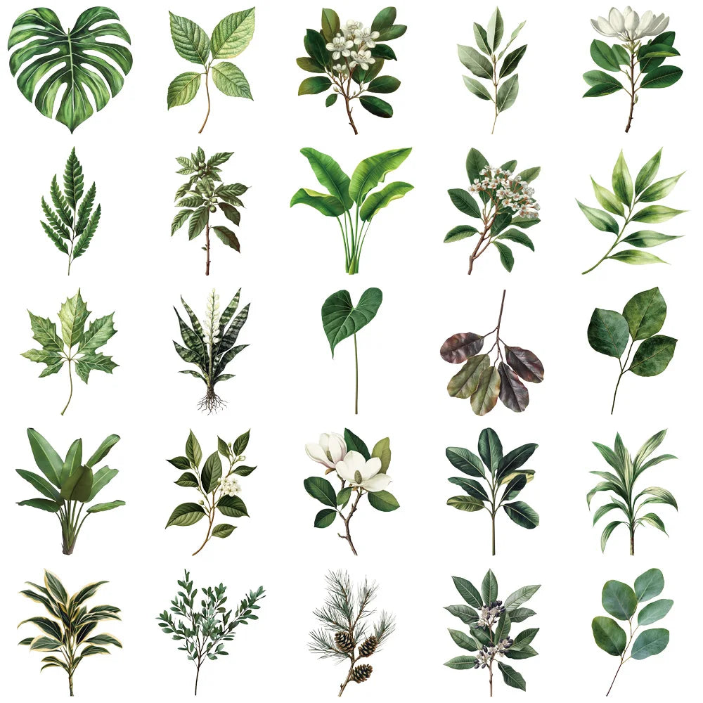 50 pegatinas de hojas de plantas verdes, ideales para decorar ordenadores, neveras y cajas de almacenamiento. Pegatinas impermeables de PET